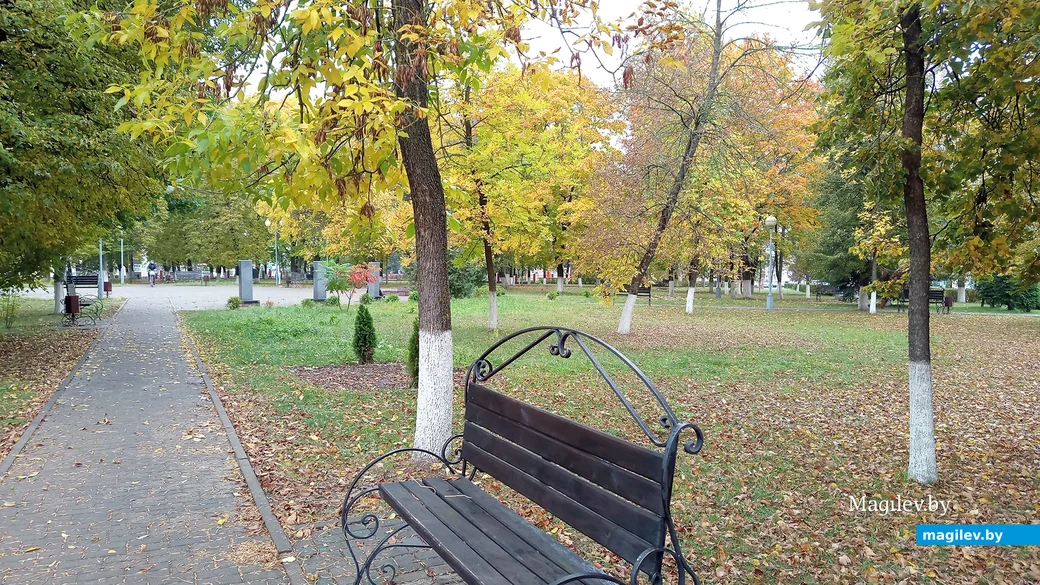 11.10.2024 г. Центральный парк Глуска.