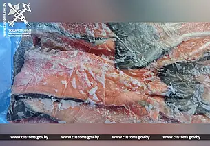 Могилевские таможенники не дали ввезти в Беларусь более 25 тонн рыбы без документов