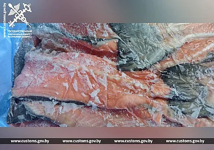 Могилевские таможенники не дали ввезти в Беларусь более 25 тонн рыбы без документов