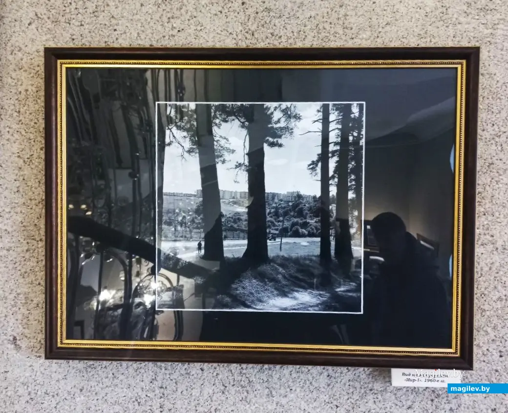 10.10.2024, Могилев, областной краеведческий музей им. Е.Р. Романова. Выставка Николая Желудовича «Город его памяти».