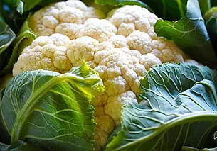 Названы бюджетные продукты, помогающие снизить риск развития рака: доступны каждому