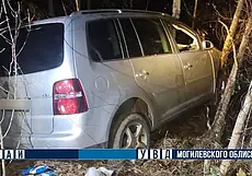 Под Могилевом водитель разбился насмерть из-за лося