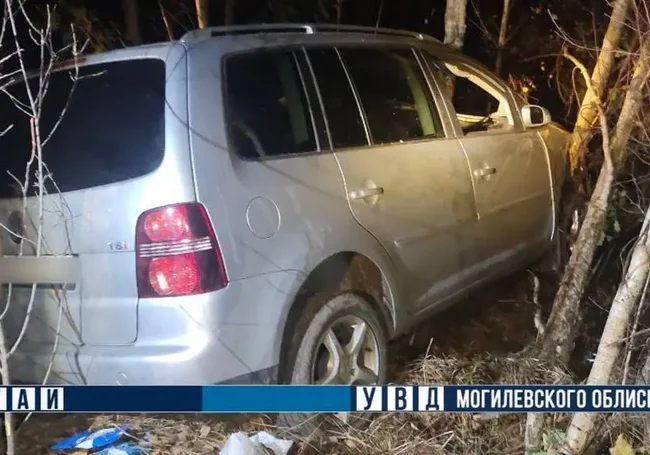 Под Могилевом водитель разбился насмерть из-за лося
