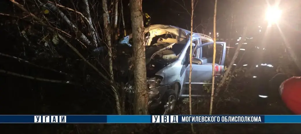 12.10.2024 г. ДТП с лосем на подъезде к Могилеву от а/д М-8 «граница Российской Федерации – Витебск – Гомель – Граница Украины».