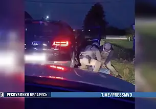 Двое минчан посадили в лесу коноплю: их задержали вместе с «урожаем» (видео)