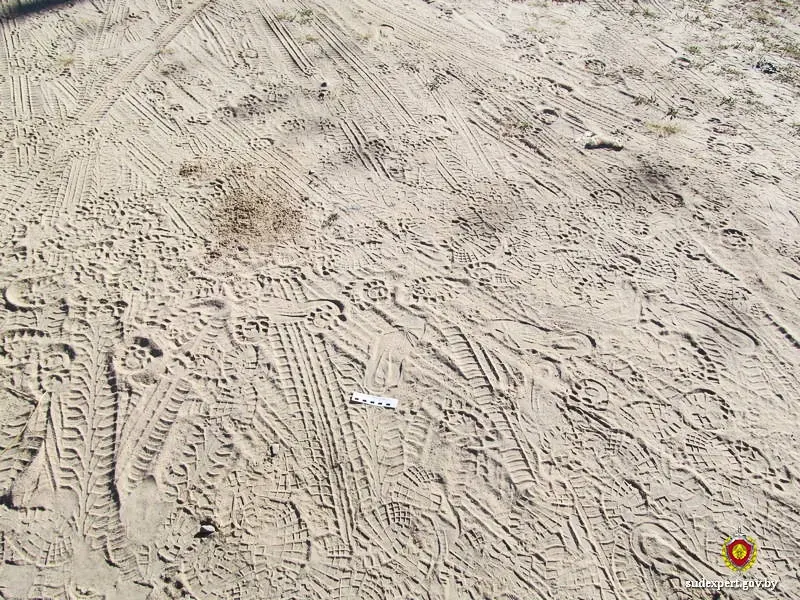 Фото: ГКСЭ РБ