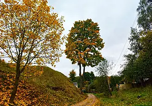 Могилев исчезающий: про овраги и туризм