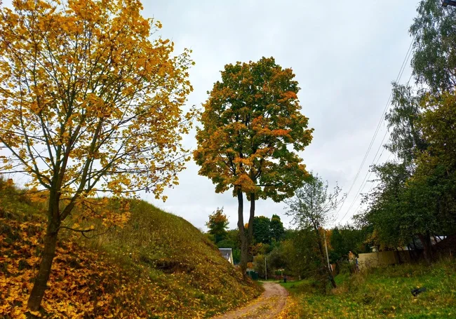 Могилев исчезающий: про овраги и туризм