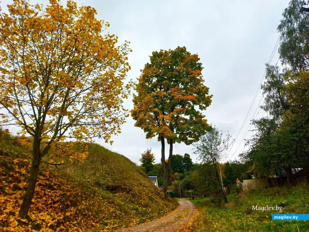 14.10.2024, Могилев. 3-й Струшенский Овраг и его окрестности.