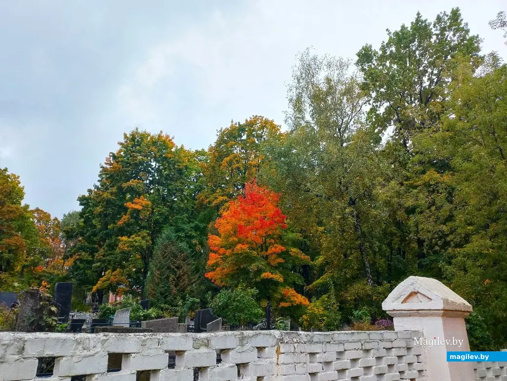 14.10.2024, Могилев. 3-й Струшенский Овраг и его окрестности.