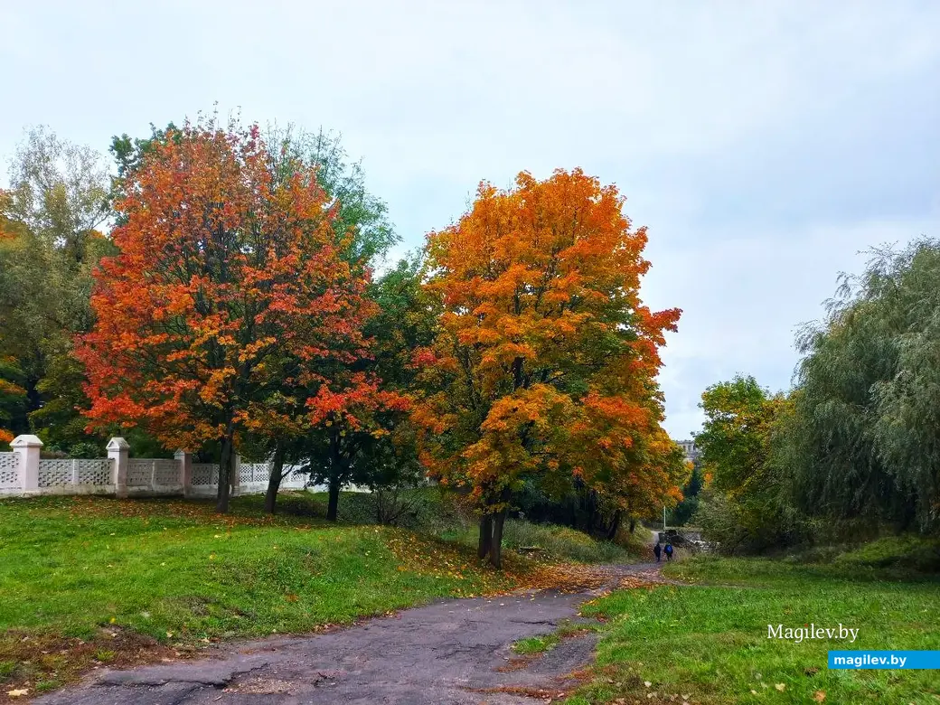 14.10.2024, Могилев. 3-й Струшенский Овраг и его окрестности.
