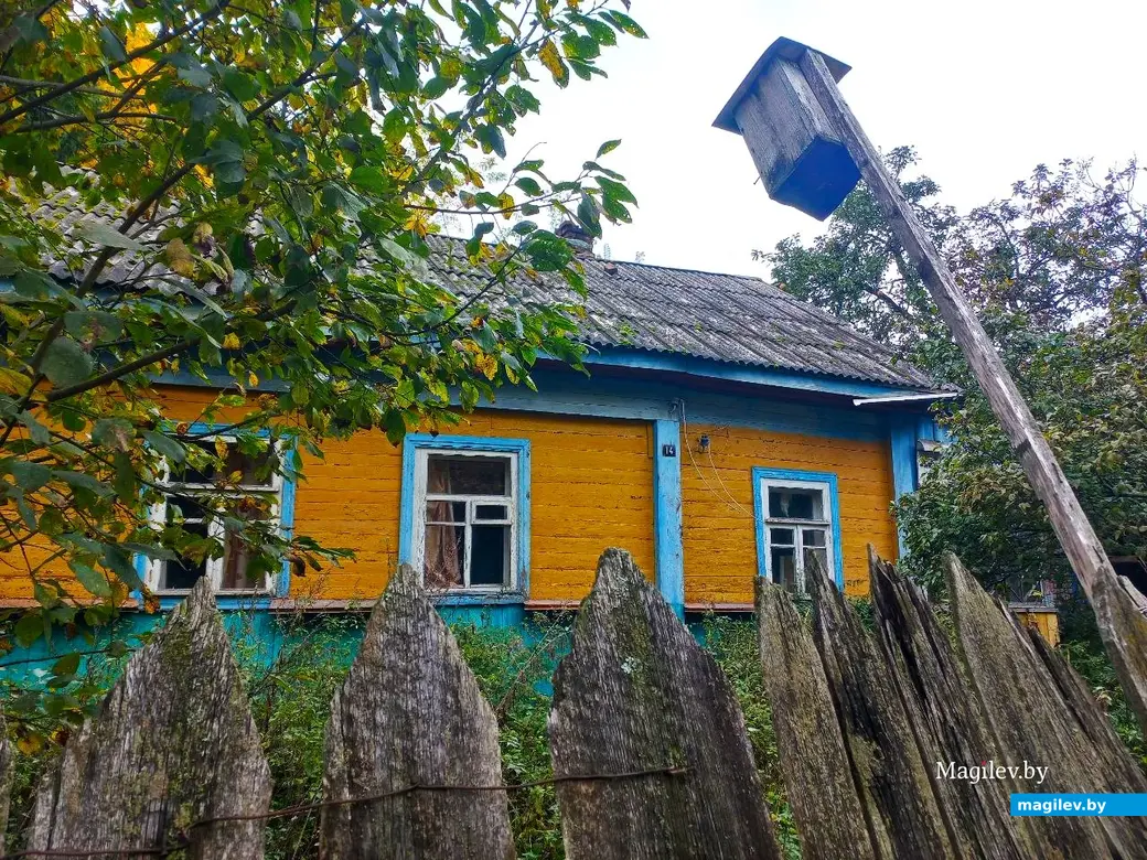 14.10.2024, Могилев. 3-й Струшенский Овраг и его окрестности.