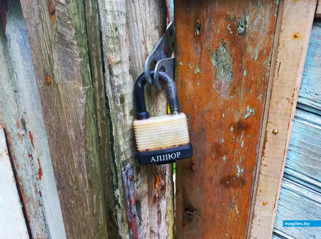 14.10.2024, Могилев. 3-й Струшенский Овраг и его окрестности.