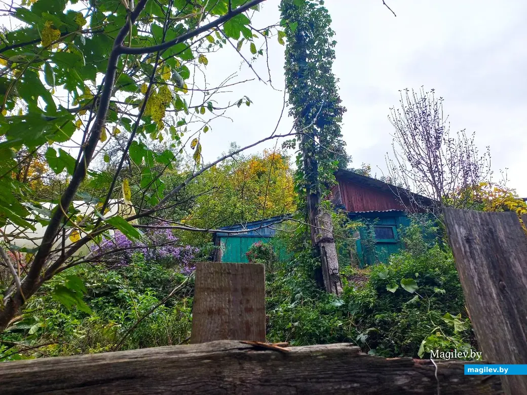 14.10.2024, Могилев. 3-й Струшенский Овраг и его окрестности.