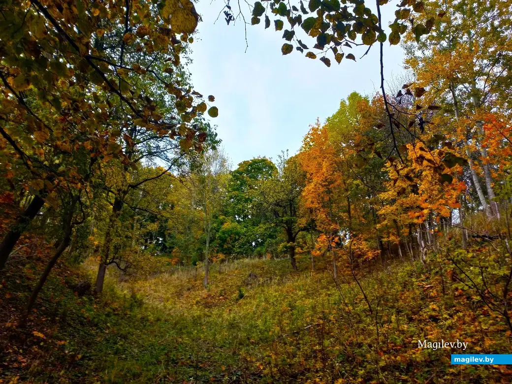 14.10.2024, Могилев. 3-й Струшенский Овраг и его окрестности.