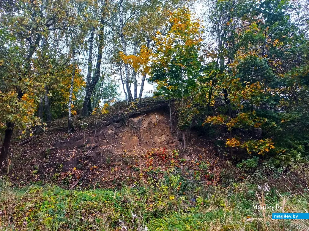 14.10.2024, Могилев. 3-й Струшенский Овраг и его окрестности.