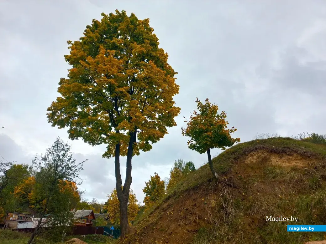 14.10.2024, Могилев. 3-й Струшенский Овраг и его окрестности.