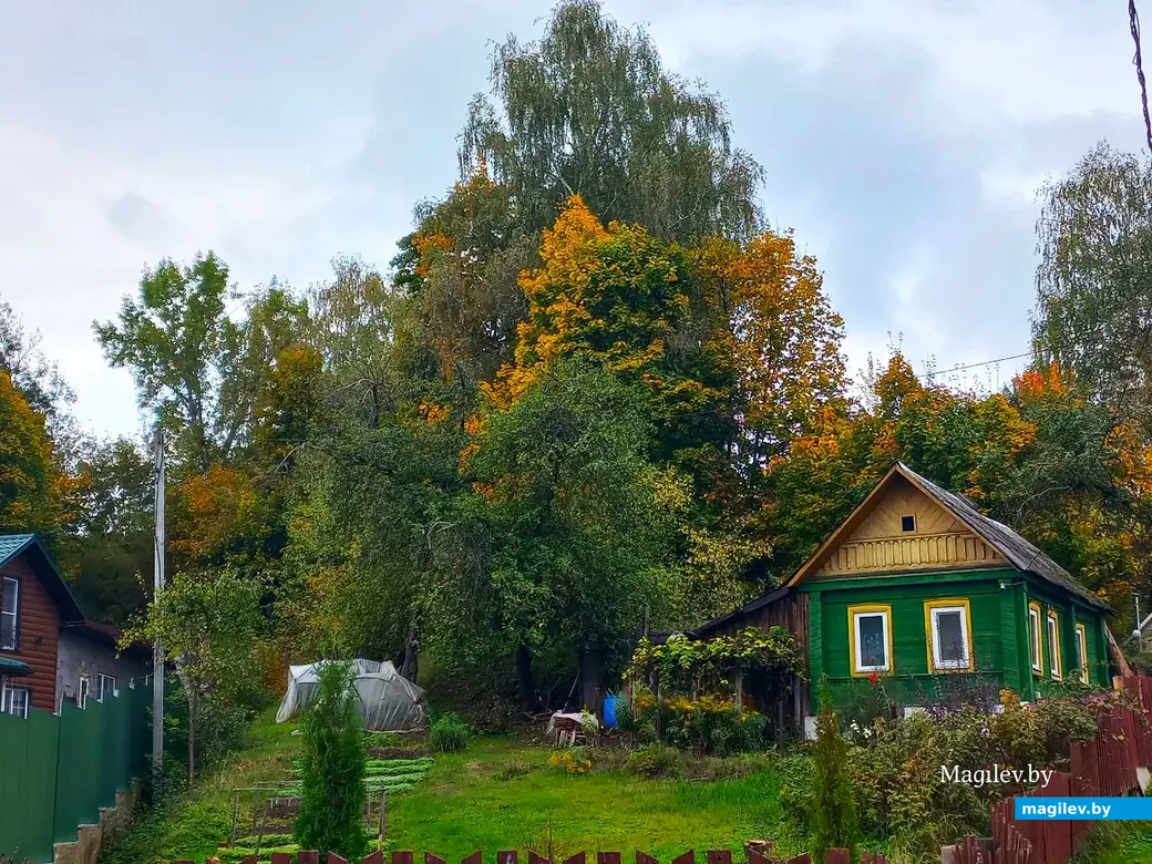 14.10.2024, Могилев. 3-й Струшенский Овраг и его окрестности.