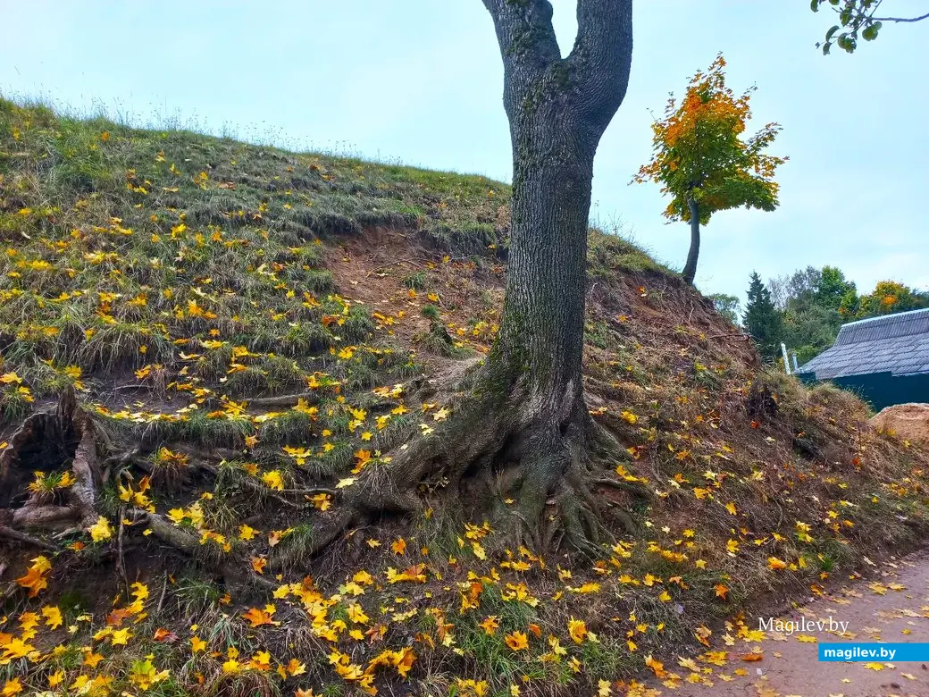 14.10.2024, Могилев. 3-й Струшенский Овраг и его окрестности.