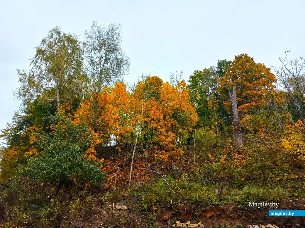 14.10.2024, Могилев. 3-й Струшенский Овраг и его окрестности.