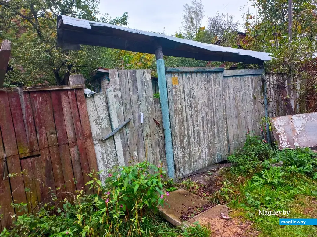 14.10.2024, Могилев. 3-й Струшенский Овраг и его окрестности.