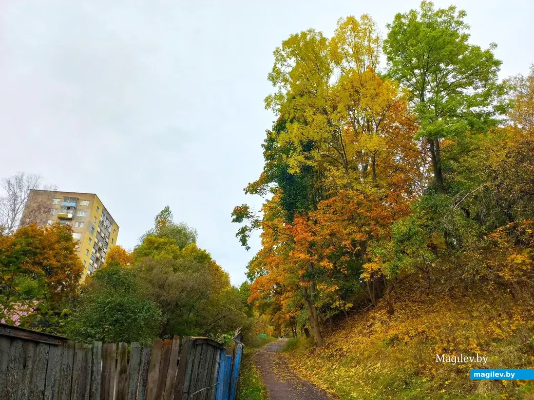 14.10.2024, Могилев. 3-й Струшенский Овраг и его окрестности.