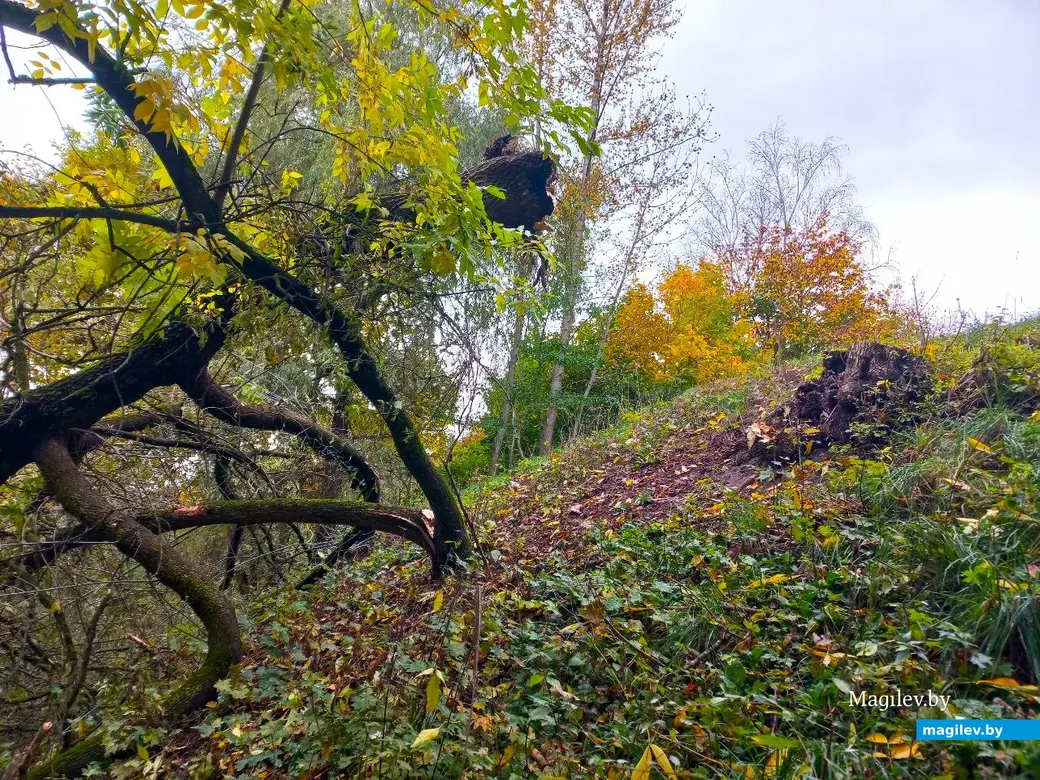 14.10.2024, Могилев. 3-й Струшенский Овраг и его окрестности.