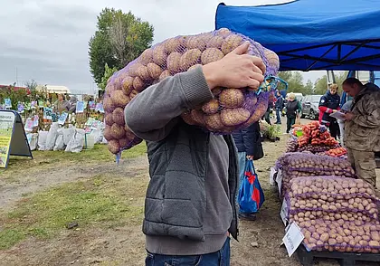 Три сельхозярмарки будут работать в Могилеве с 18 по 20 октября