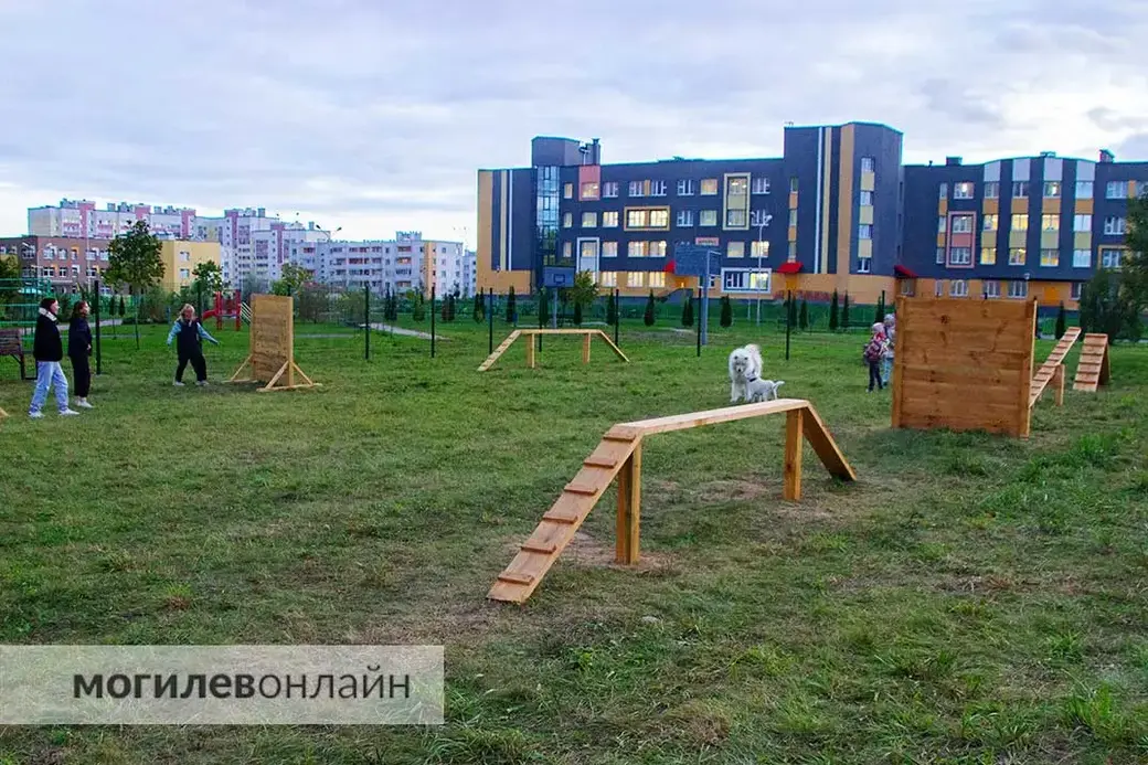 Осень 2023 г. Могилев, Казимировка, площадка для выгула собак. Фото: Могилев.Online.