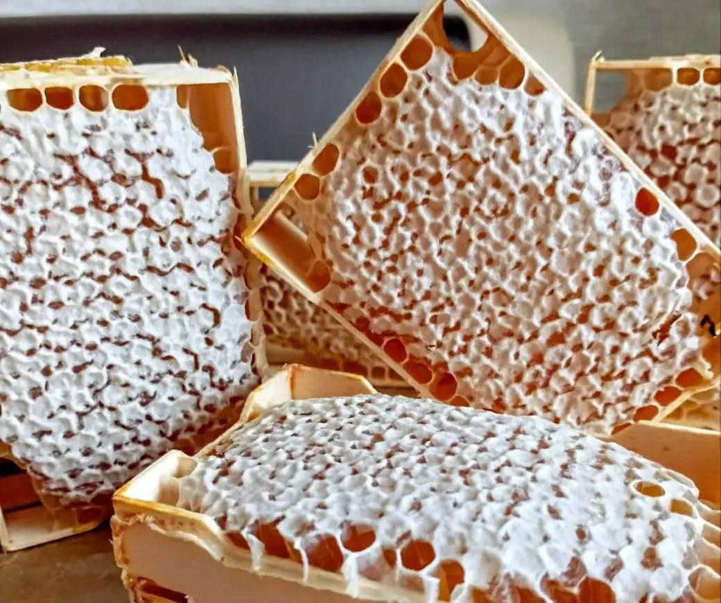 У пчеловода Евгения Лукьянова из Кировска.