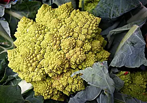 Сколько нужно есть клетчатки, чтобы снизить давление: выяснили ученые