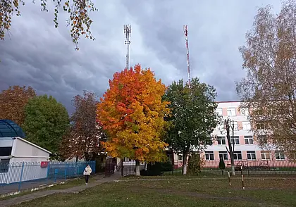 Прогуливаясь по Могилеву:  «Присядем, друзья, перед  дальней дорогой…»