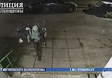 В Могилеве мужчина украл два электровелосипеда на запчасти для своего собственного