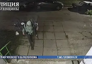 В Могилеве мужчина украл два электровелосипеда на запчасти для своего собственного