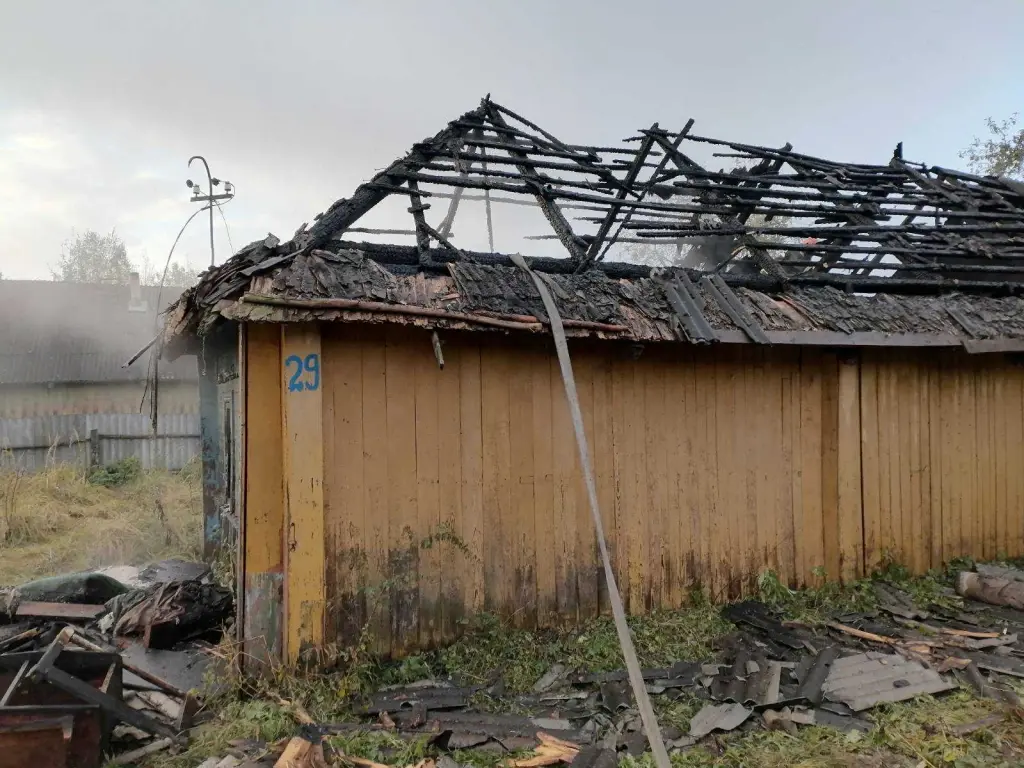 17.10.2024 г. Дрибинский район, агр. Темный лес. Фото: Могилевское областное УМЧС