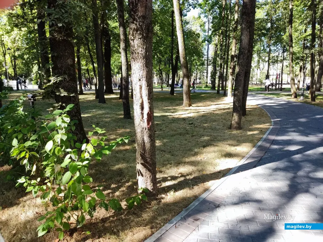 21.09.2024 г. Путешествие одного дня в Смоленск