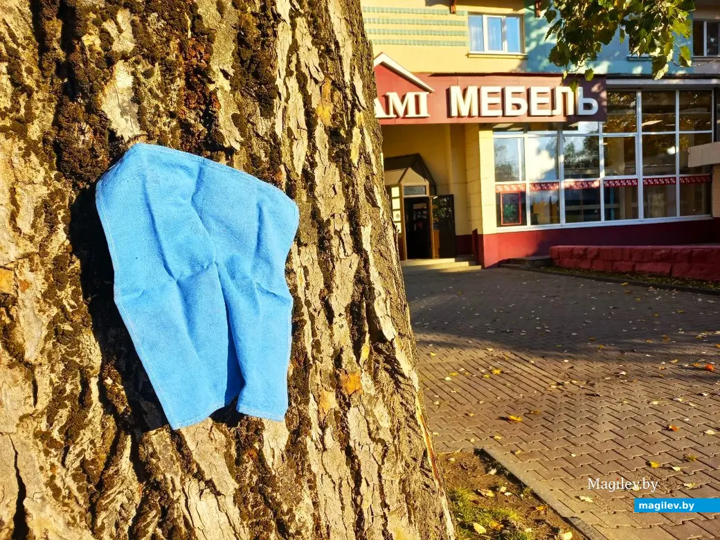 Октябрь, 2024г., Могилев. Салфетка из восьмидесятых.