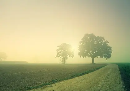 Облачно с прояснениями, туман и до +25°Ϲ: какой будет погода в Могилеве в среду, 23 июля