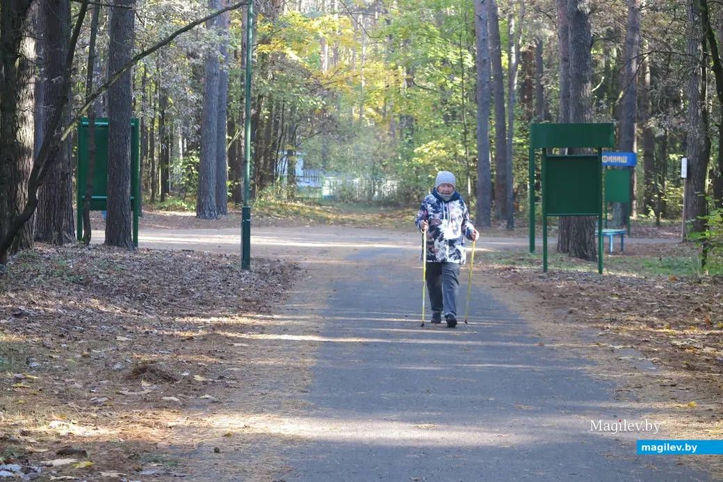 Октябрь 2024 г. Могилев, Любужский лесопарк, тропа здоровья.