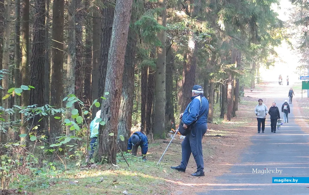 Октябрь 2024 г. Могилев, Любужский лесопарк, тропа здоровья.
