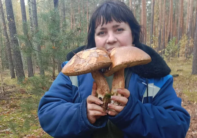 Килограммовый боровик из-под Кличева и ежовики из Калюги. Наш фотоконкурс продолжается