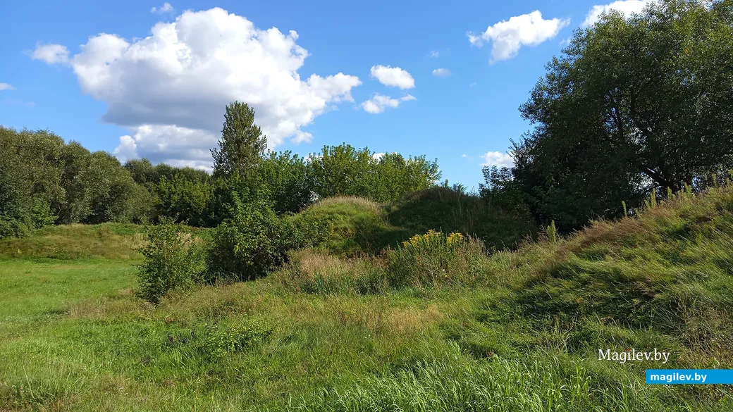 август 2024 года. Глуск. Остатки валов Глусского замчища. Фото Ольги Янушевской.