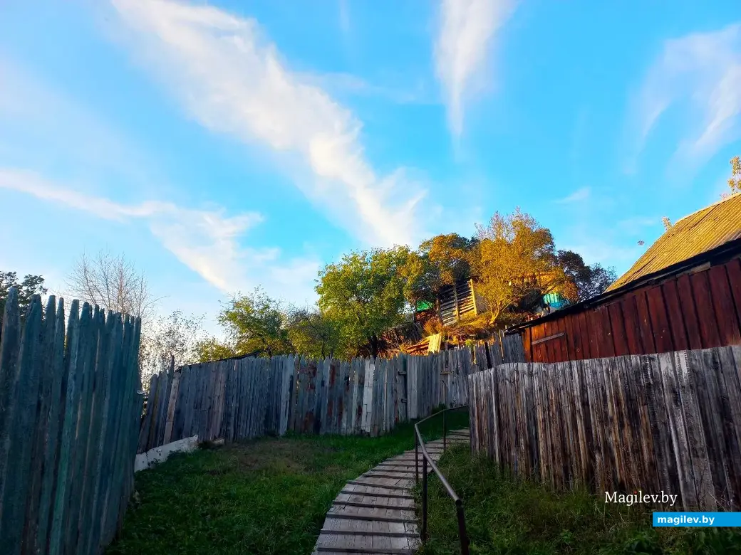 21.10.2024, Могилев. 2-й Струшенский Овраг и его окрестности.