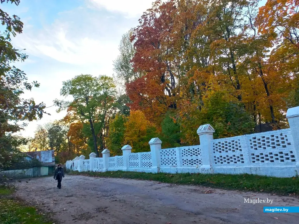 21.10.2024, Могилев. 2-й Струшенский Овраг и его окрестности.