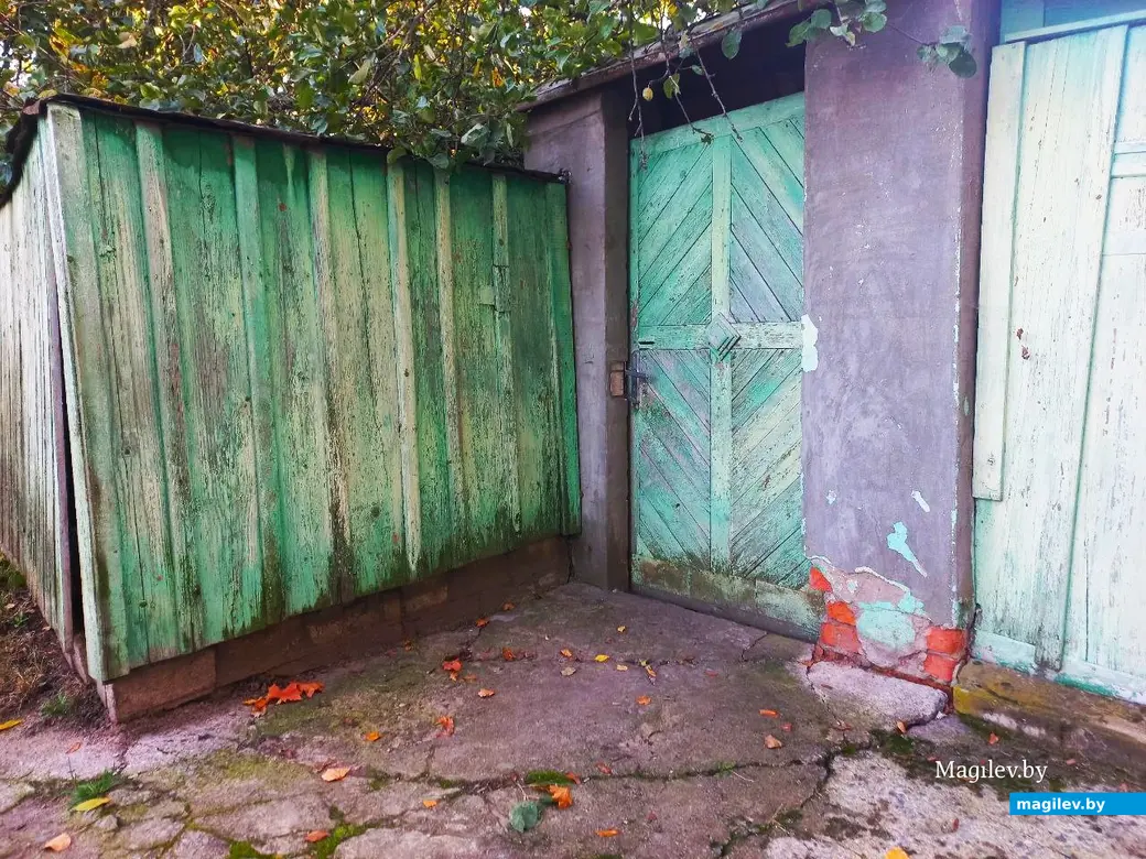 21.10.2024, Могилев. 2-й Струшенский Овраг и его окрестности.