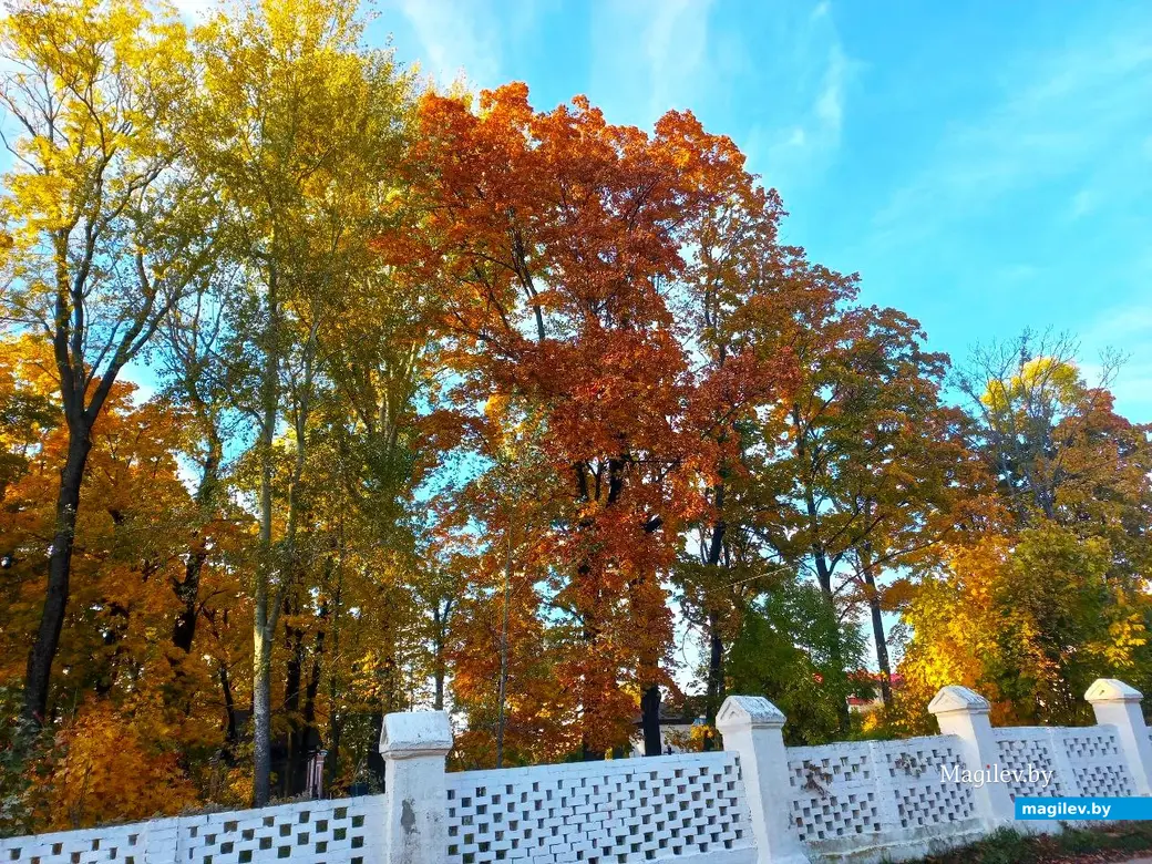 21.10.2024, Могилев. 2-й Струшенский Овраг и его окрестности.