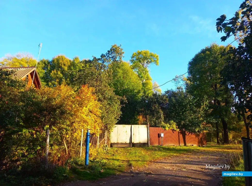 21.10.2024, Могилев. 2-й Струшенский Овраг и его окрестности.