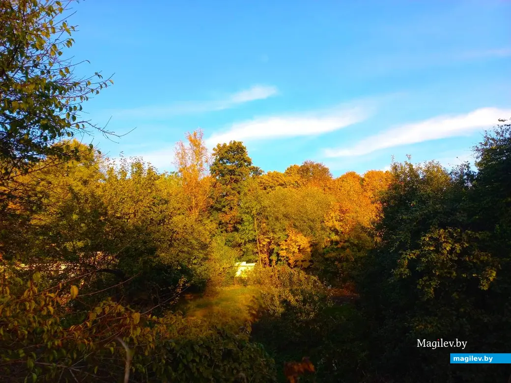 21.10.2024, Могилев. 2-й Струшенский Овраг и его окрестности.