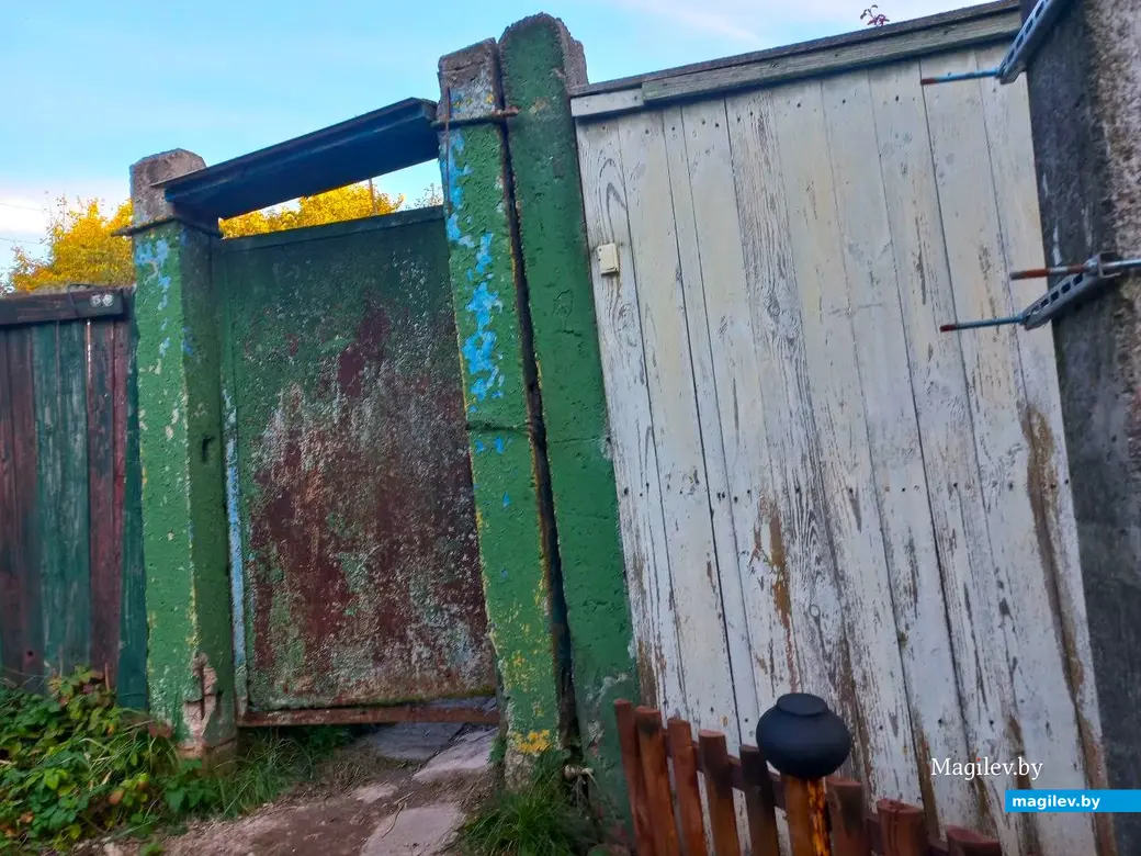 21.10.2024, Могилев. 2-й Струшенский Овраг и его окрестности.