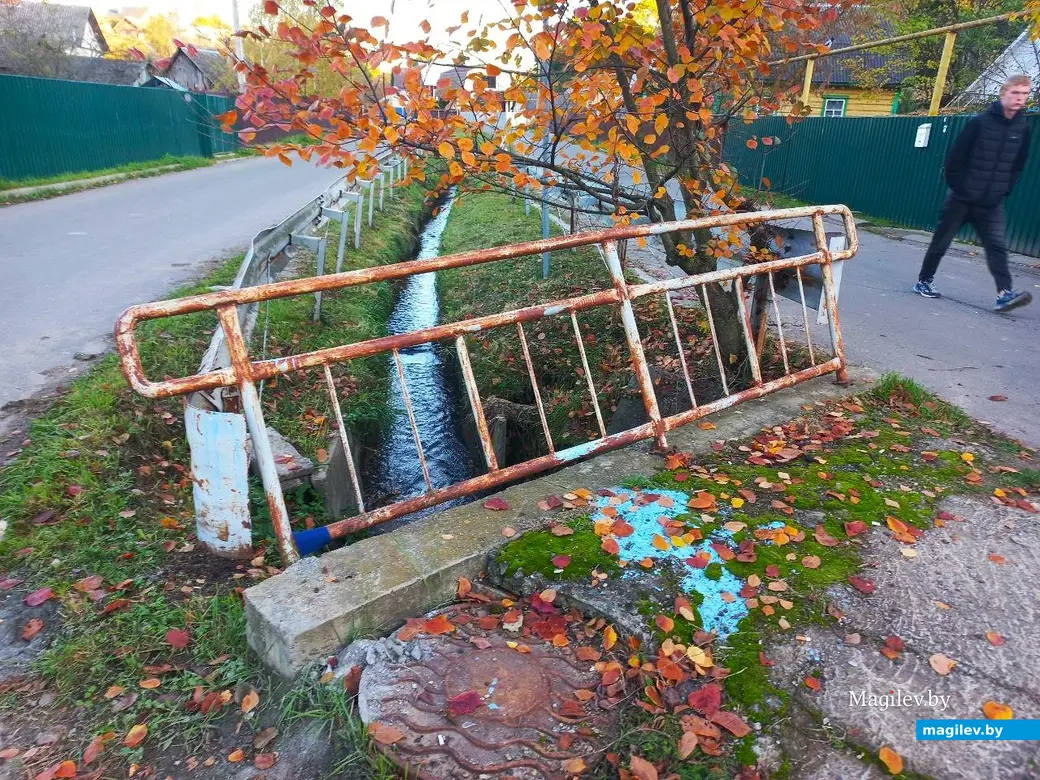 21.10.2024, Могилев. 2-й Струшенский Овраг и его окрестности.